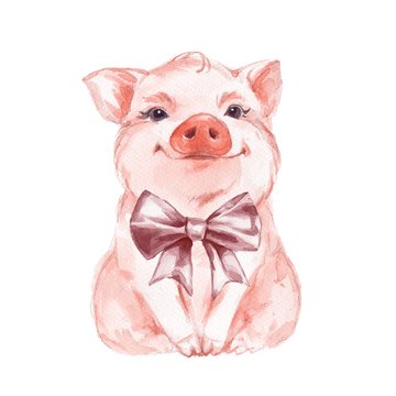 Funny pig and bow. Isolated on white. Cute watercolor illustration