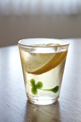 Highball with a sliced of lemon.