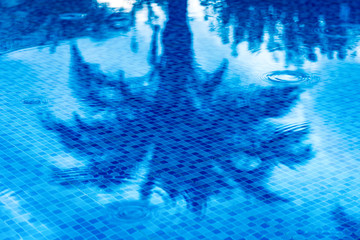 Spiegelung einer Palme im Pool