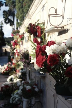 friedhof V