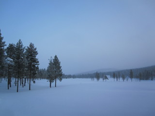 Winterland