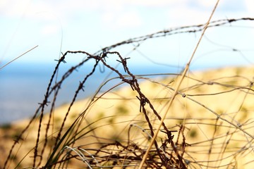 rostiger stacheldraht II