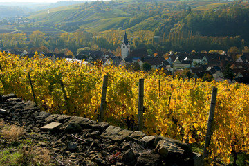 Herbst 03