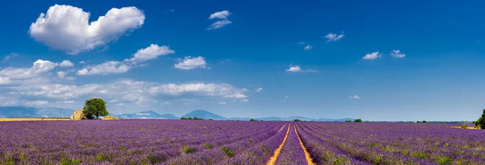 Photo sur Plexiglas Lavande Summer in Valensole with lavender fields, stone house and heart-shaped cloud (panoramic view). Summer in Alpes de Hautes Provence, Southern French Alps, France