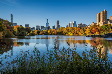 Naklejka premium Fall in Central Park at The Lake with Midtown Manhattan skyscrapers. Cityscape sunrise view with colorful Autumn foliage. Manhattan, New York City
