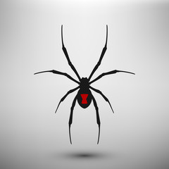Spider widow icon.  Vector isolated.