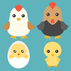 Family of Chicken, Chicken in egg, hen and rooster cartoon character, flat design