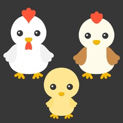 Chicken, hen and rooster cartoon character, flat design