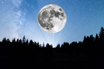 Fototapeta na wymiar Super Moon pine trees silhouette Milky Way