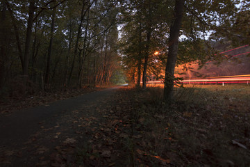 Car tail light trails in beautiful autumn colored forest