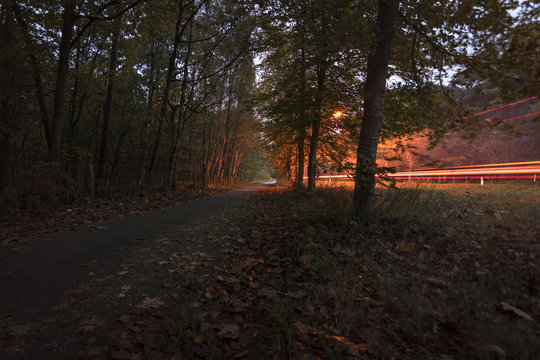 Car tail light trails in beautiful autumn colored forest