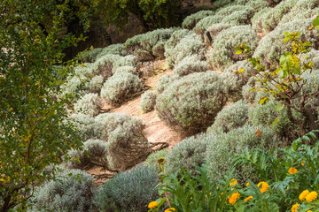 Giardini di Castel Trauttmanssdorff, Merano, Alto Adige, Italia. Scorcio del famoso giardino...