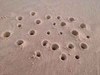 Fototapeta na wymiar Holes in sand