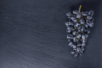 top view of single branch blue grapes on black slate stone backg