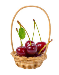 red ripe cherries with leaf in basket isolated on white backgrou
