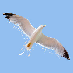 Seagull bird low poly design. Triangle vector illustration.
