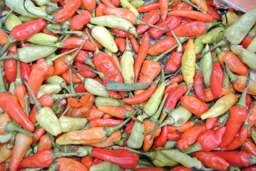 Balinese Chilis