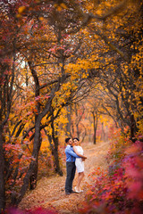 Smiling couple hugging in autumn park. Happy bride and groom in forest, outdoors