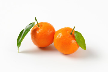 mandarin oranges with leaves