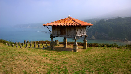 Fototapeta na wymiar View of a horreo, typical rural construction, in Cadavedo, Asturias - Spain