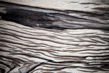 Fototapeta premium Old wooden pattern, Wood decay