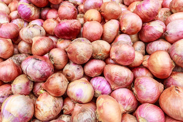 Fresh onion in market