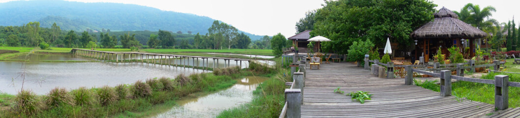 Fototapeta premium Panorama lush green rice fields of the countryside, Thailand