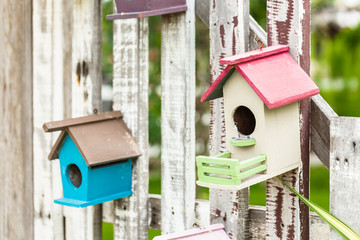 Bird house
