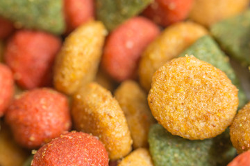 dog snack food close up colorful background