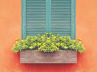 Half of Window with flower box and orange wall