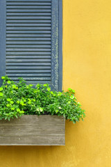 Fototapeta na wymiar Half of Window with flower box and yellow wall