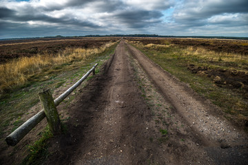 Feldweg in die Ferne