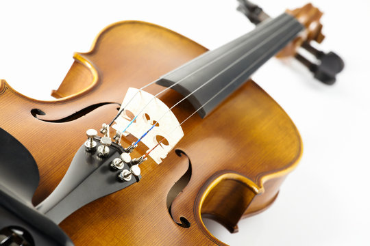 Close up Violin front view on white background	