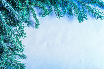 Christmas background with evergreen firtree branch