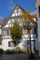 Fototapete bei efototapeten.de bestellen   