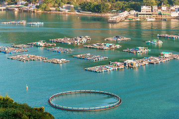 Fish farming rafts at Sok Kwu Wan fisherfolks village viewed from the observation deck of the...