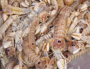 shrimps at the market