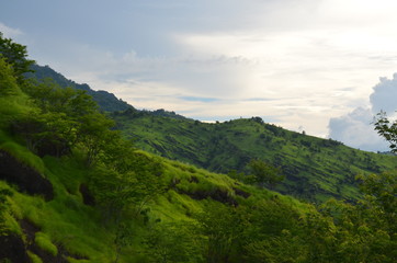 Fototapeta na wymiar Bali Landscape in Pemuteran