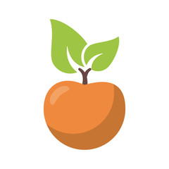 Apple fruit icon. Healthy organic and fresh food theme. Isolated design. Vector illustration