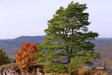 Aussichtspunkt