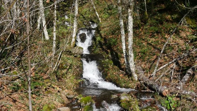 High Mountain Stream Water Fll