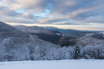 Fototapeta na wymiar neige dans les Vosges
