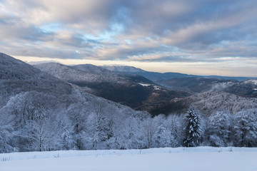 neige dans les Vosges