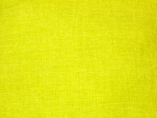 Light Green Background