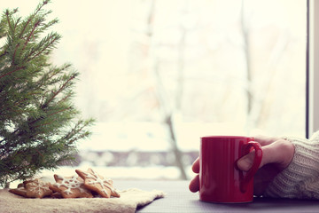 warming celebratory drink/ Hand in a white sweater, holding a red circle next to the ginger cookies lying under the Christmas tree 