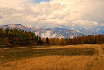 View of Cloudy Tetons with Fall Foliage