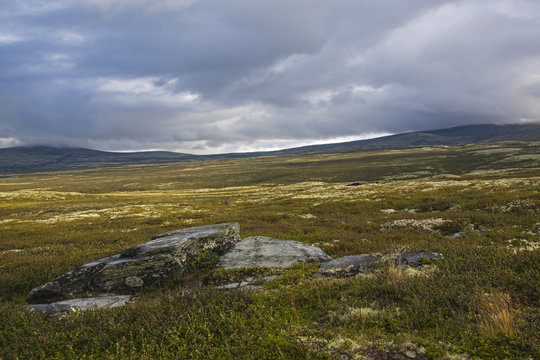 Tundra landscape on Rondane National park