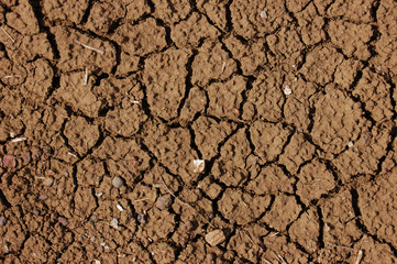 Cracked earth, Senegal