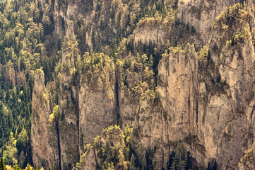 rocky mountain texture
