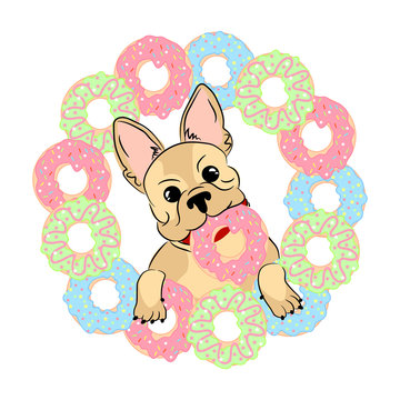 Cute illustration with puppy. French bulldog with donuts. 